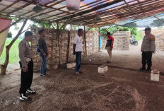 Arena Sabung Ayam Kepadangan Tulangan Sidaorjo Dibongkar Polisi