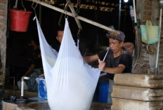  Program MBG Dongkrak Penghasilan Pekerja Pabrik Tahu di Ngawi dan Tingkatkan Produksi UMKM