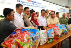 Temukan Dugaan Beras Fortifikasi Palsu dengan Harga Tidak Wajar, Pemerintah Siap Tindak Tegas