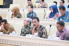 RDP dengan Komisi II DPR, Sekjen ATR/BPN Laporkan Capaian Implementasi Tujuh Layanan Prioritas