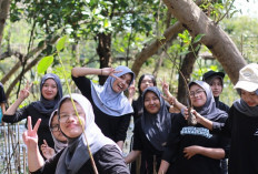 Tanam Mangrove ECO-FUN 2026 Unesa Libatkan Peserta Madura hingga Korea