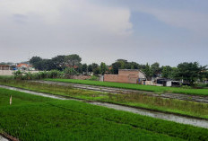 Petani Kota Pasuruan Sumringah, Pemkot Bebaskan Tarif PBB-P2