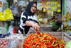 Cabai Sempat Tembus Rp120 Ribu, Kini Berangsur Turun Harga