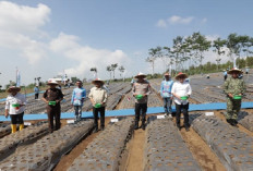 Dukung Swasembada Pangan, Polda Jatim Tanam Bawang Putih Serentak di 4 Daerah