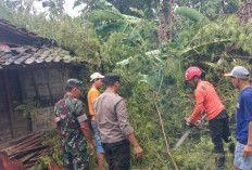 Sigap! Polisi Ngawi Bantu Warga Terdampak Angin Puting Beliung di Tambakromo Padas