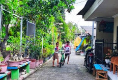 Transformasi Kampung Kumuh di Karangpilang Jadi Kampung Sat Set Cuan Inovatif