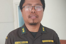 Karantina Tanjung Perak Perketat Pemeriksaan Ternak Jelang Iduladha