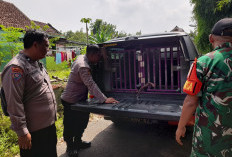 Polres Mojokerto Evakuasi Anjing yang Meresahkan Warga di Ngoro