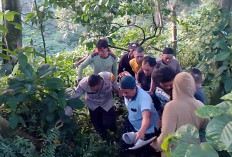 Niat Boyong Mobil Baru, Rombongan Asal Jakarta Malah Terjun Bebas ke Jurang Gumitir