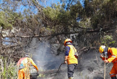 Karhutla Gunung Bromo Meluas ke Penanjakan dan Pakisbincil Pasuruan