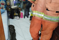Bangun Tidur, Warga Gunung Anyar Temukan Piton 3,5 Meter di Samping Kasur