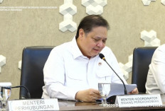 Harga Avtur Naik, Pemerintah Jaga Tiket Pesawat Tetap Terjangkau