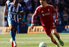 Liverpool Tumbang dari Brighton, Arne Slot Akui Performa The Reds Musim Ini Belum Memuaskan