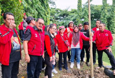 Peringati HUT Ke-79 Megawati, PDI Perjuangan Surabaya Gelar Aksi Merawat Pertiwi Di Waduk Tirta Adhyaksa