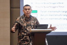 Wamen ATR/BPN Tekankan Pentingnya Satu Data Sawah Nasional untuk Perkuat Perlindungan Lahan Pertanian
