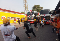 Lomba Tarik Bus Double Deker 12 Ton di Tulungagung Berhadiah Belasan Juta Rupiah