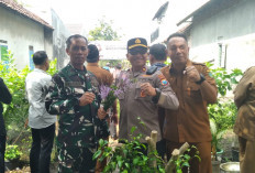 Forkopimcam Balongbendo Kunjungi Tanaman Toga Kumis Kucing di Desa Wonokupang
