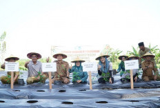 Tekan Inflasi Cabai, Pemkab Lamongan Canangkan GAS PAK CAMAT di 27 Kecamatan