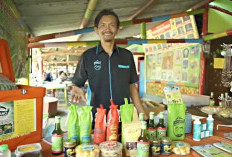 Pesisir Timur Surabaya Memberi Sejuta Manfaat, Buah Mangrove Jadi Sumber Perekonomian