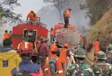 Tim Gabungan Padamkan Karhutla di Kawasan Dingklik Bromo Pasuruan