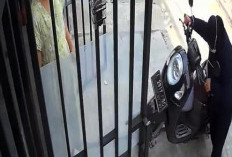 Kasus ART di Surabaya Curi Emas Batangan dan Dollar, Polisi Bergerak Penyelidikan