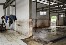 Surat Edaran Tak Digubris RPH Jombang Sepi Aktivitas