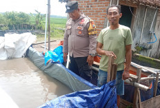 Bhabinkamtibmas Mantingan Monitoring Budidaya Lele, Dukung Ketahanan Pangan Warga