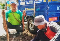 Perumda Air Minum Giri Nawa Tirta Pasuruan Optimalkan Penurunan NRW dan Penguatan Sistem Teknologi