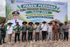 Plt Bupati Ahmad Baharudin Pimpin Panen Perdana Hasil Ratoon Tebu Tahun 2025 di Tulungagung