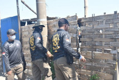 Pemkot Surabaya Bongkar 40 Gudang Sampah Ilegal di Sekitar TPA Benowo