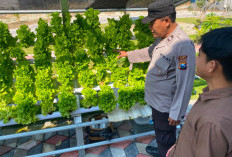 Bhabinkamtibmas Karangjati Monitoring Selada Hidroponik Warga, Dukung Ketahanan Pangan di Ngawi