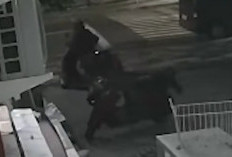 Terekam CCTV, Dua Pria Gasak Scoopy Merah di Rumah Makan Jalan Wali Kota Mustajab Saat Sahur