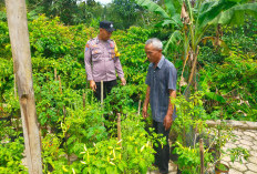 Bhabinkamtibmas Sine Intensifkan Monitoring Pekarangan Pangan Bergizi, Dukung Ketahanan Pangan di Ngawi 
