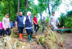 Pascabanjir Situbondo Pemprov Jatim Segera Perbaiki Irigasi dan Fokus Pulihkan Pertanian 