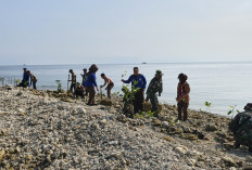 Kodim Lamongan Tanam 1.000 Mangrove di Pantai Pengkolan, Ratusan Warga Turun Tangan