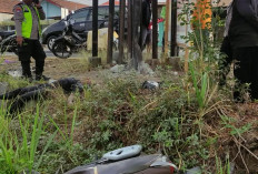 Kecelakaan Maut di Jalan Soekarno Hatta Tulungagung, Pemotor 24 Tahun Tewas Usai Tabrak Tiang