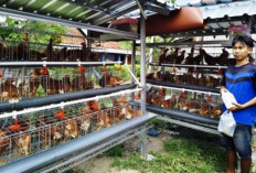 Sinergi Membangun Negeri Lewat Kontribusi Nyata PEPC Entaskan Kemiskinan di Bojonegoro