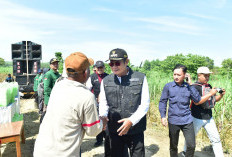 Pemkab Lamongan Wujudkan Swasembada Gula Melalui Program Bongkar Ratoon