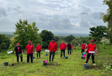 Seluruh Kader PDI Perjuangan Lakukan Aksi Tanam Pohon