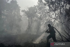 14.167 Personel TNI Dikerahkan Tangani Karhutla di Seluruh Indonesia