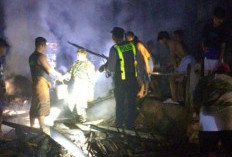Kandang Sapi di Babat Lamongan Terbakar, 4 Ekor Sapi Mati Terpanggang