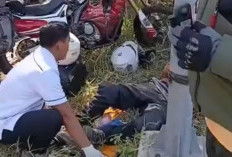 Gagal Menyalip di Tikungan Pantura Situbondo, Pemotor Asal Bandung Tewas Tabrakan