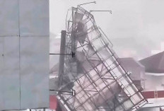 Hujan Angin Terjang Surabaya, Reklame Raksasa di Tidar Ambruk dan Puluhan Pohon Tumbang