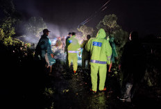 Polisi Ngawi Sigap Evakuasi Pohon Tumbang, Arus Lalin di Jogorogo Kembali Lancar 