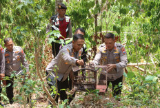 Polres Trenggalek Lepas Burung Gelatik Jawa dan Pancawarna untuk Jaga Ekosistem