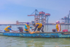 TTL Gandeng BRIN Petakan Biota Laut di Teluk Lamong, Perkuat Implementasi ESG