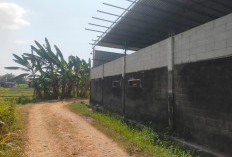 Diduga Belum Miliki Ipal, Usaha Pengolahan Ayam di Ngoro Terancam Dihentikan