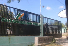 Warga Karangpakis Jombang Keluhkan Bau Menyengat Pabrik Pengolahan Bulu Ayam dan Truk Besar