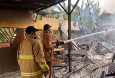 Lupa Matikan Kompor, Warung Kopi di Dukun Gresik Ludes Terbakar