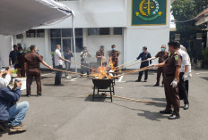 Kejari Kota Kediri Musnahkan Ratusan Gram Sabu dan Belasan Ribu Pil Dobel L
